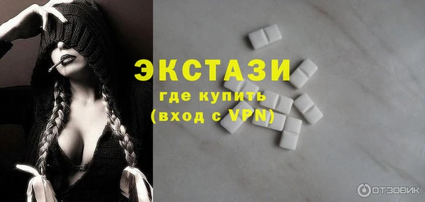 гидра Надым