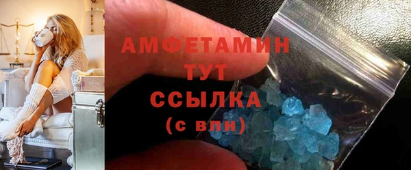 гидра Надым