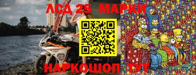 прущие грибы Донецк