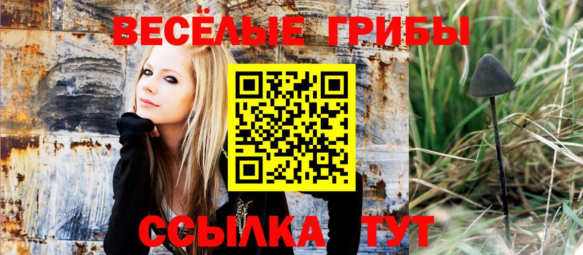 Галлюциногенные грибы MAGIC MUSHROOMS  Вход с VPN  Лениногорск 