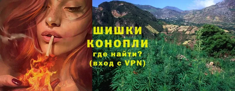 где купить наркоту  Лениногорск  Конопля THC 21% 